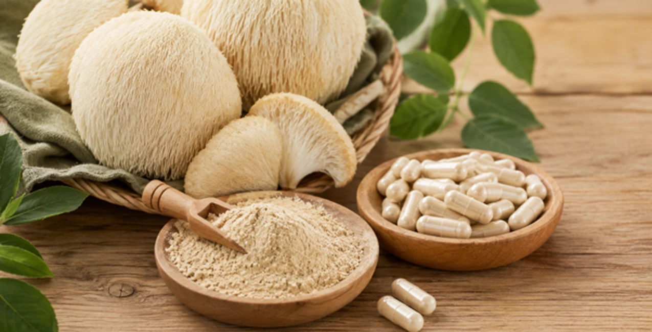 Beneficios del hongo melena de león